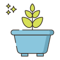 Ficus icon