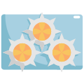 Sea Urchin icon