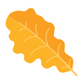 Oak leaf icon