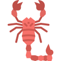 Scorpion icon