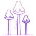 Trippy Mushrooms icon