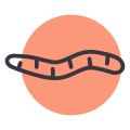 Earthworm icon