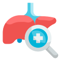 Liver icon