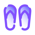 Flip Flops icon