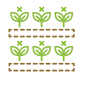 agricultura vertical icon