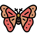 Moth icon