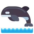 Killer Whale icon
