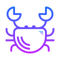 Crab icon