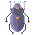 Beetle icon