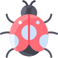 Ladybug icon