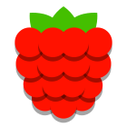 Raspberry icon