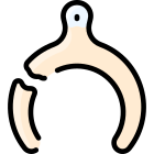 Wishbone icon