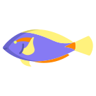 Surgeon Fish icon