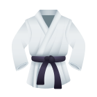 emoji-uniforme-de-artes-marciales icon