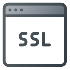 SSL icon