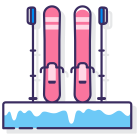 Skis icon