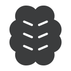 Brain icon