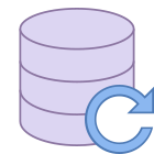 Data Backup icon