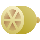 Citrus icon