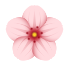 Flor de cerejeira icon