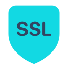 SSL icon