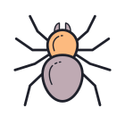 Spinne icon