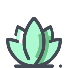 Lotus icon