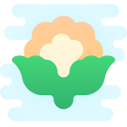 カリフラワー icon