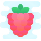 ラズベリー icon