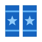 Eletivo icon