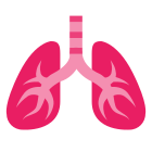 Lungs icon