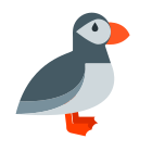 Puffin Bird icon