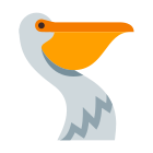 Pelicano icon