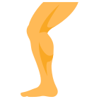 腿 icon