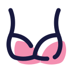 Reggiseno icon