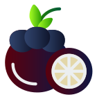 Mangosteen icon