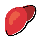 Liver icon