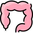 大腸 icon