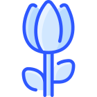 Tulipano icon