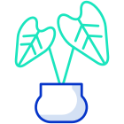 Rubber Plant icon
