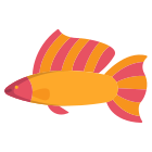 Yuctan Molly Fish icon