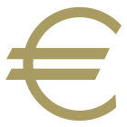 Euro icon