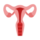 Uterus icon