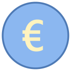 Euro icon