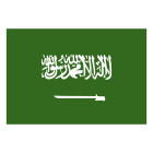 Saudi Arabia icon