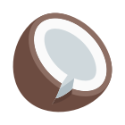 Coconut icon