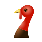 Turkey icon