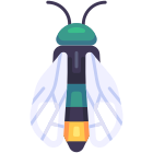 Cicada icon