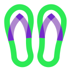 Flip Flops icon