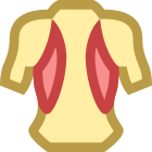Músculos das costas icon